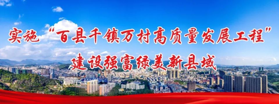 赋能"百千万工程"|丰顺县首届"鸳鸯和鸣"特色婚礼在龙归寨景区举办