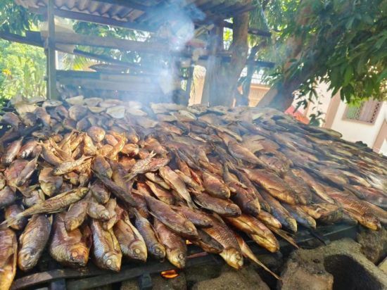 云南江城曲水镇:建设宜居宜业幸福小渔村