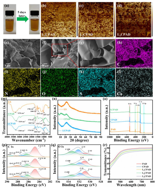 图2 LCPAD水凝胶的形貌、结构和化学表征
