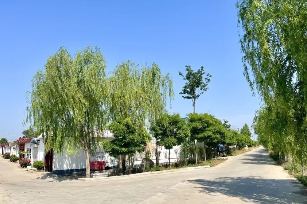 青州市谭坊镇文明新风入民心宜居乡村展新颜