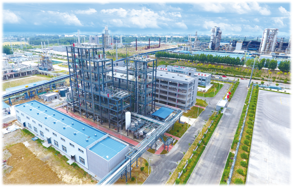 大众日报关注强工兴产薛城区闯出县域经济发展新天地