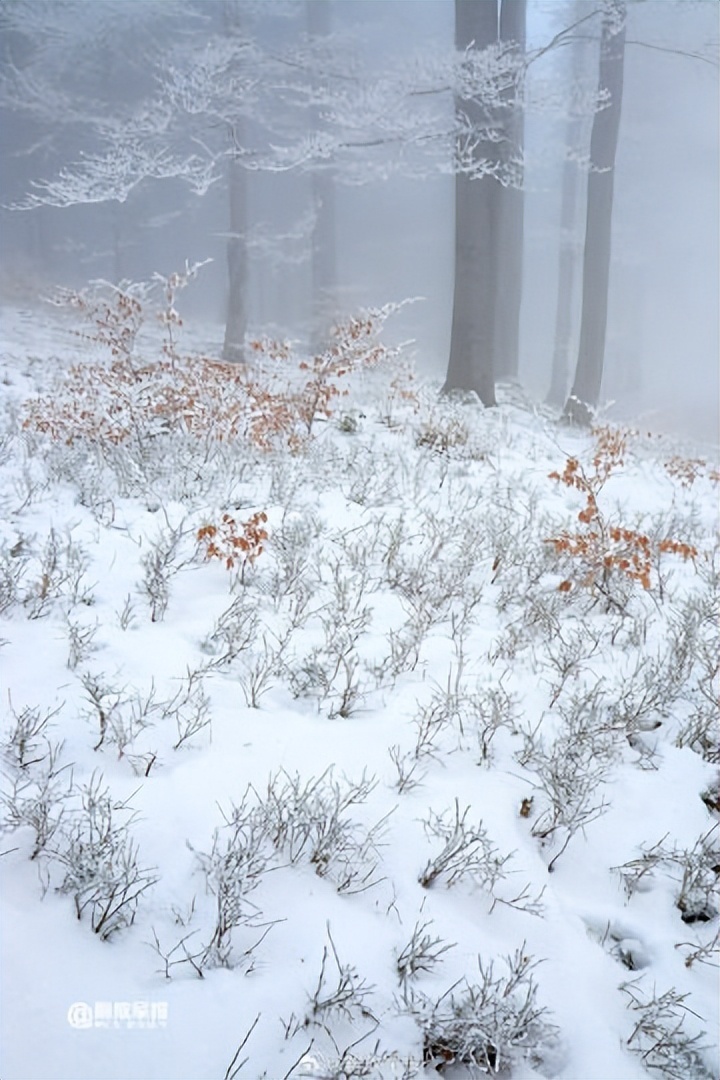 今日,大雪