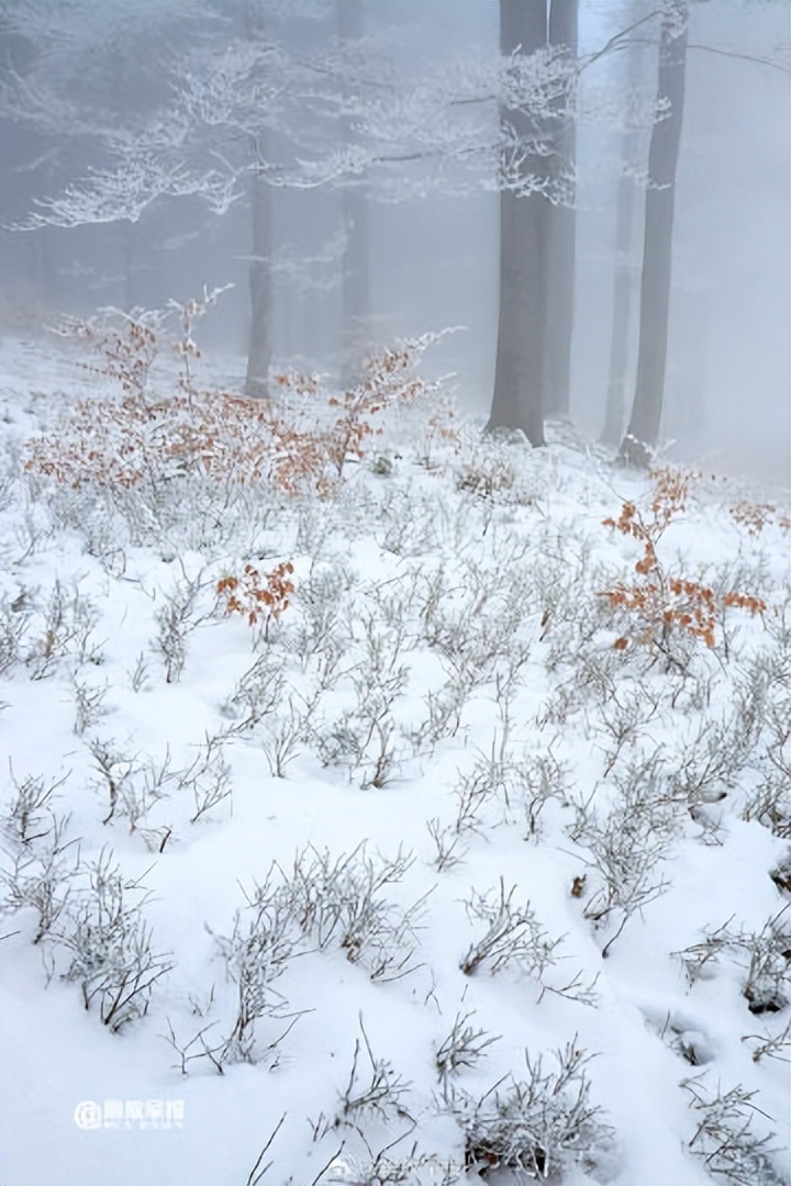 大雪实景图图片