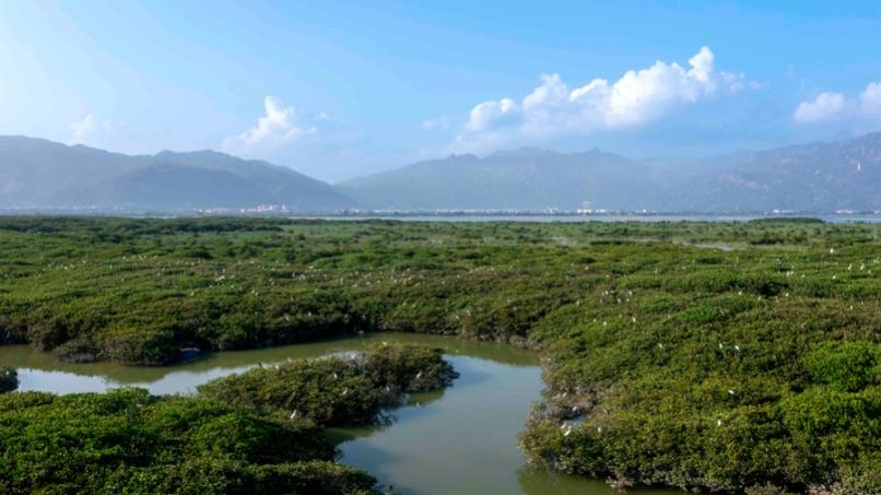 打造“城市IP”，福建云霄从文旅突围_腾讯新闻