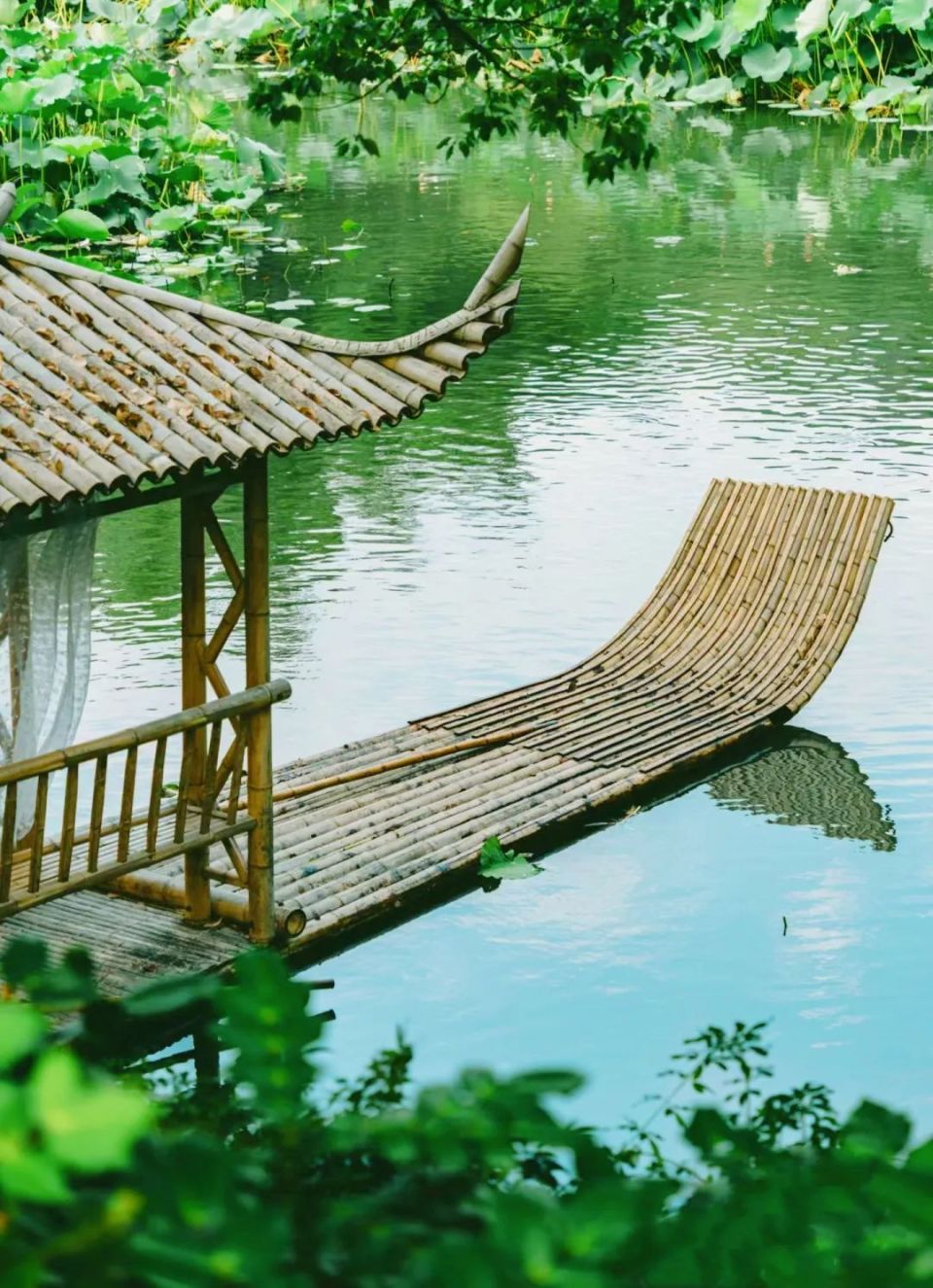 这几条"白月光"级别的citywalk路线里,荡漾着最美的江南意境