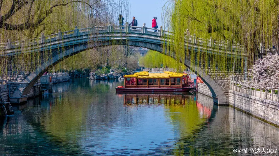 济南护城河畔樱桃花盛放_腾讯新闻