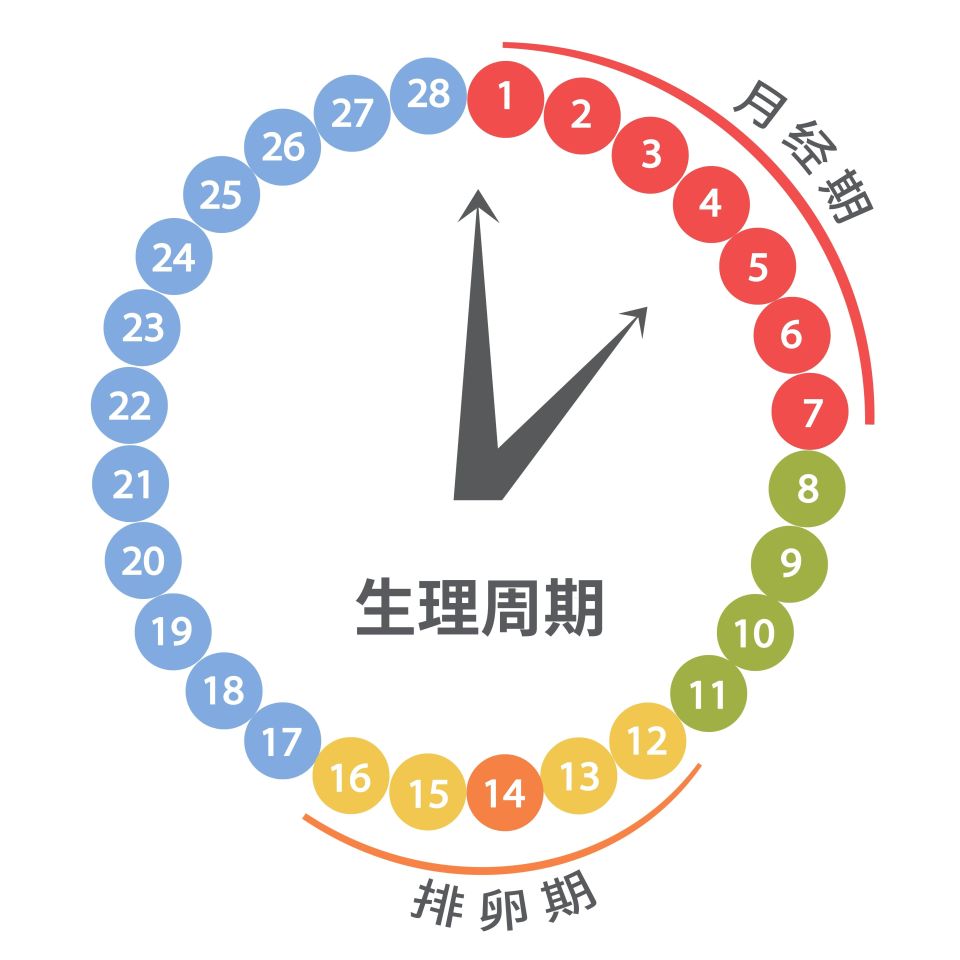 月经期2-5天月经周期的不同时间段抽血测得的激素有不同的意义.