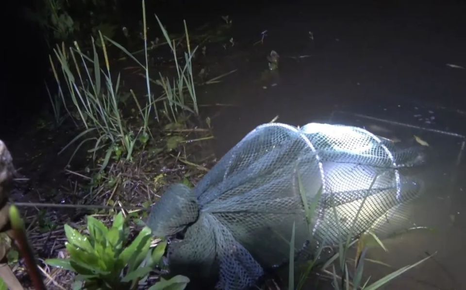 撒了渔网,落了法网