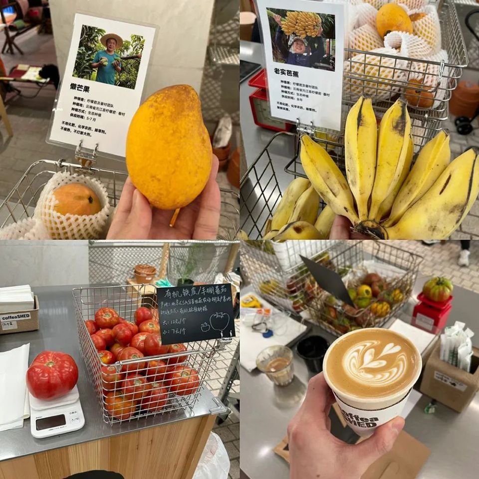 ZUCZUG素然一下开出两家咖啡首店，分别主打农场系&藏族文化-腾讯新闻