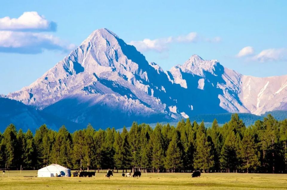 在广袤无际的蒙古草原上飞驰,一路的壮阔风景,带上你最喜欢的音乐,跟