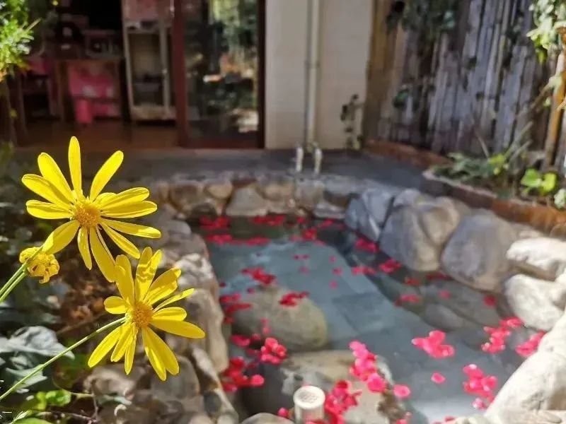 玉溪映月潭温泉(红塔区)一,景区景点优惠赛事进行得火热,热情似火的玉
