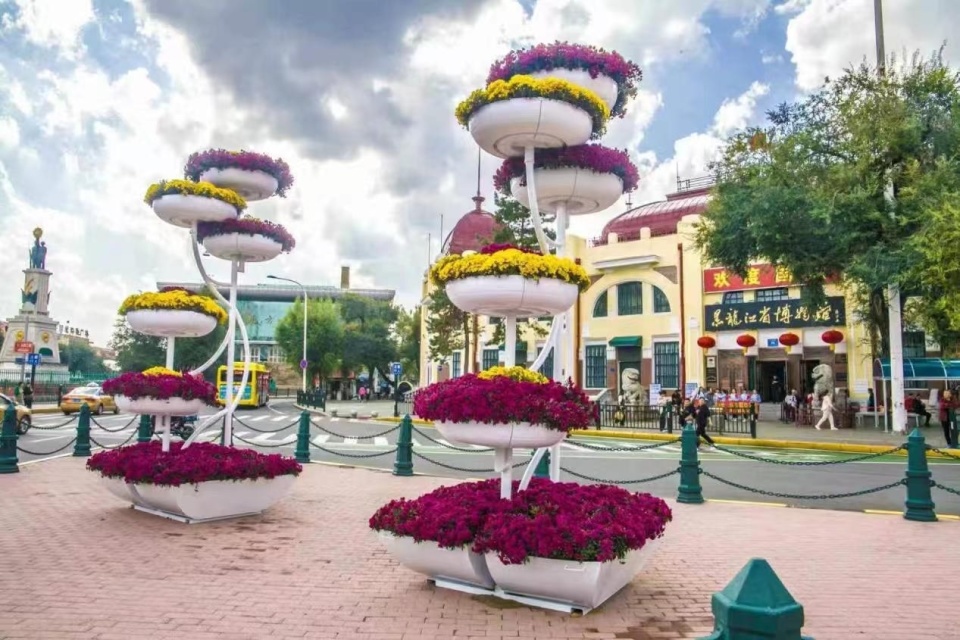 "大红灯笼"造型景观运用数千盆花,组成一座直径22米的大型迎宾花坛