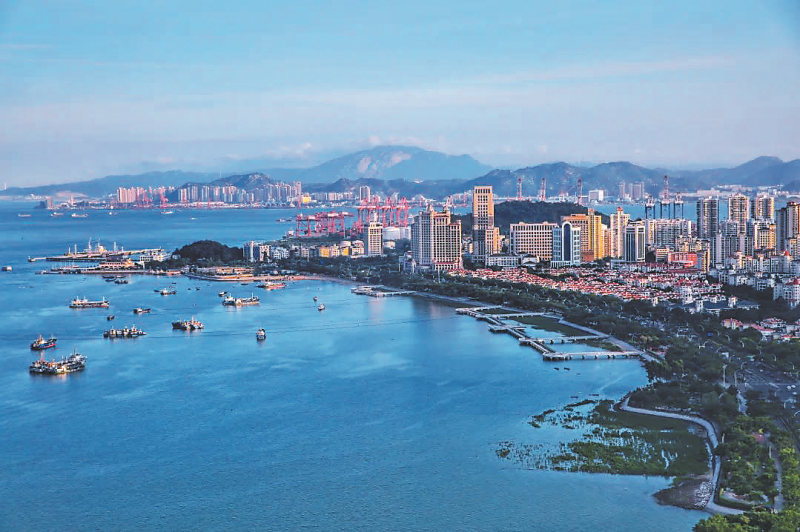 厦门海沧:以营商环境之"优"谋产业发展之"进"