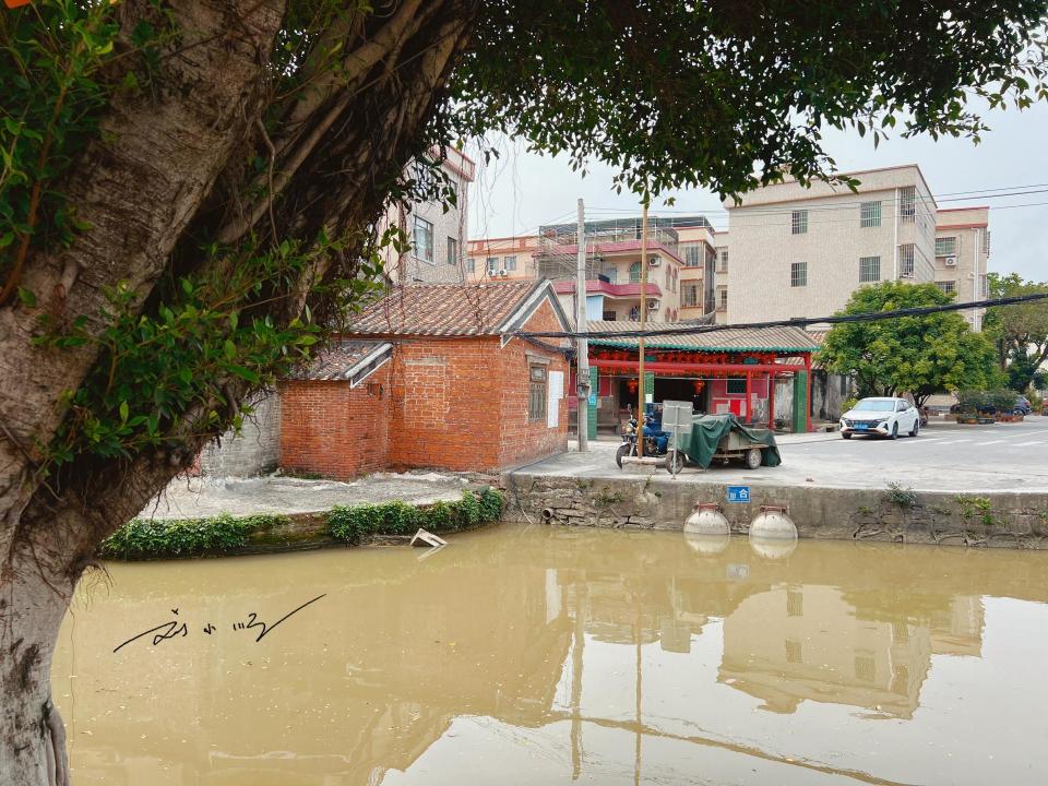 广东顺德有个"千年古村",就在北滘镇,很有特色却没什么游客?