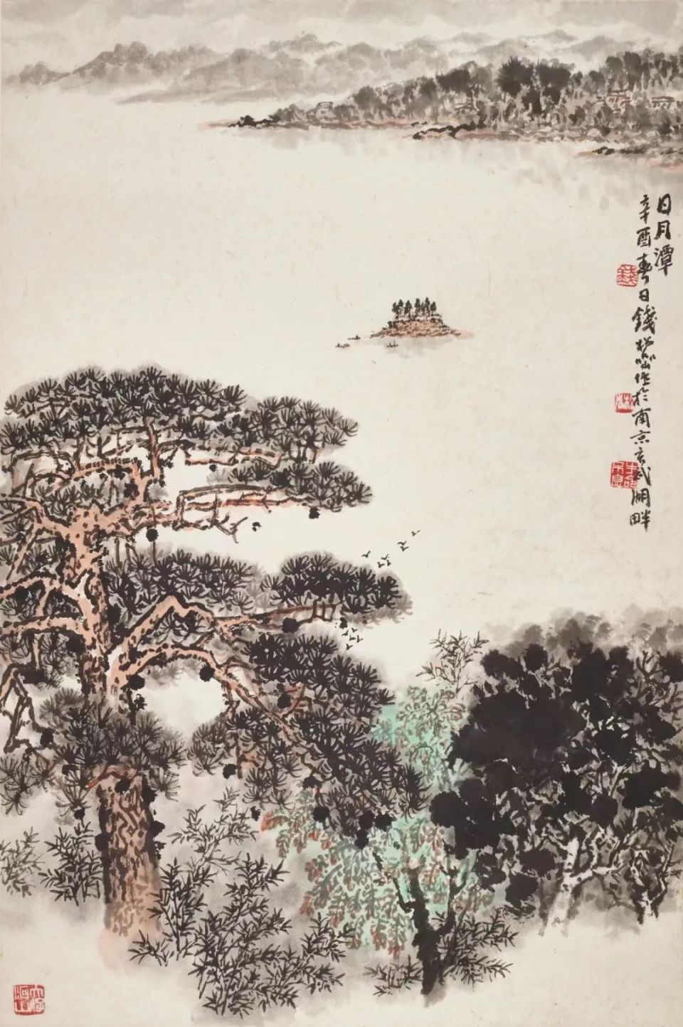 图片
