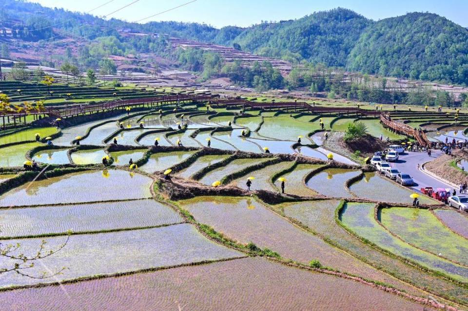 来看四川凉山越西县五彩梯田"春耕图"丨图集_腾讯新闻