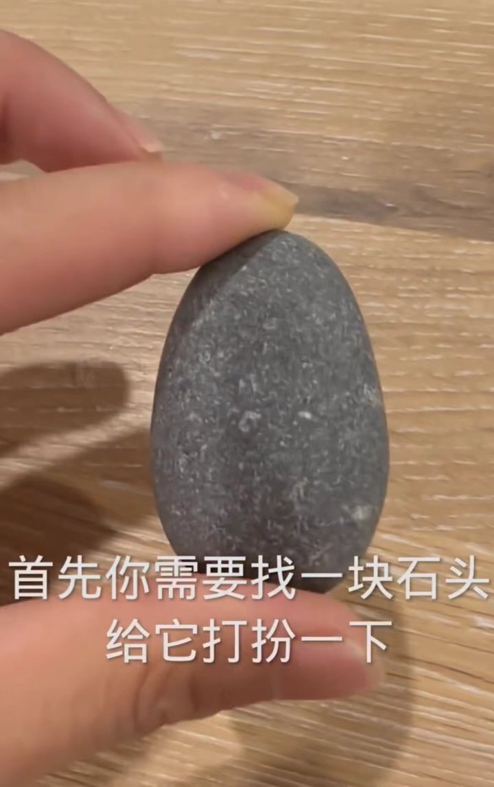 也有网友表示不理解:石头透着孤独,养个宠物也比这个强啊!