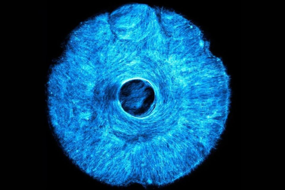 以色列医疗设备有哪些追问weekly ｜ 过去一周，脑科学领域有哪些新发现？Vol.63_https://www.jmylbn.com_新闻资讯_第36张