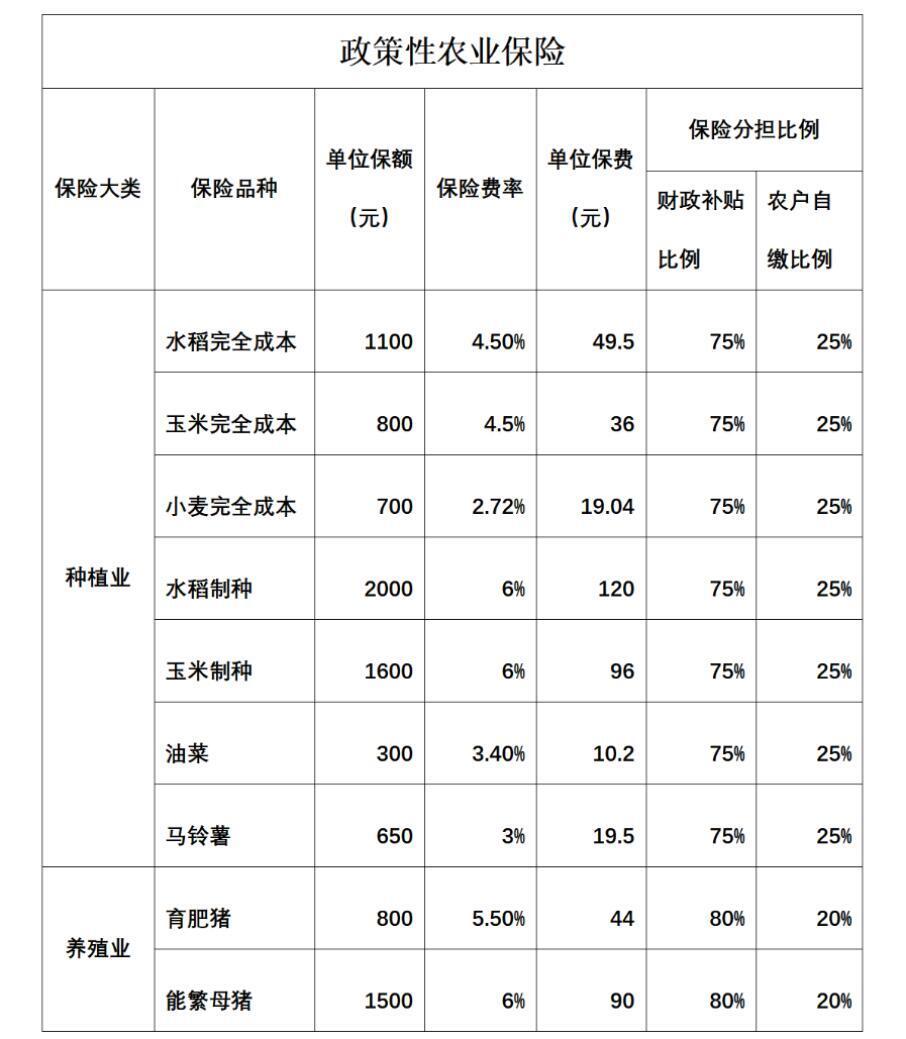 惠民政策有哪些图片