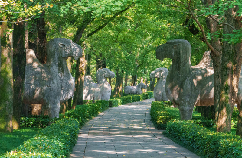 这些南京美景你赏过吗新时代钟山十八景出炉