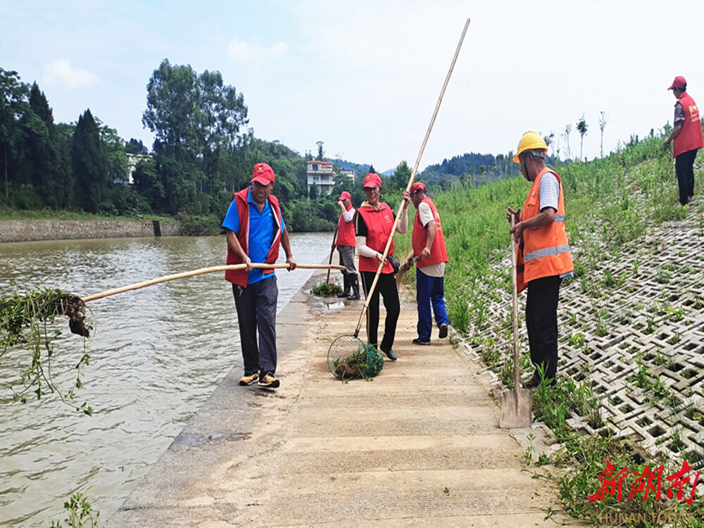 新田志愿红清理河道守护生态绿