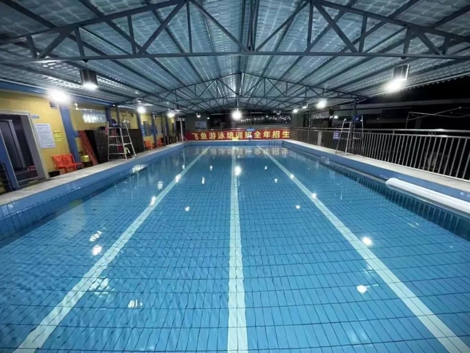 人生必备技能!丰顺飞鱼游泳馆培训班特惠来袭!