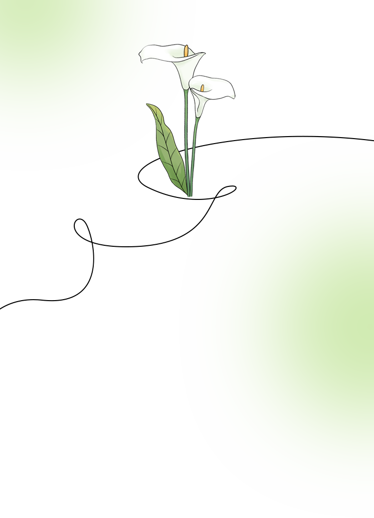 《南风》杂志 2023年第6期01宗若在暮春的街角偶遇一丛硕大的杜鹃花