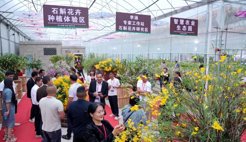 保山市龙陵县第一届石斛花卉节开幕