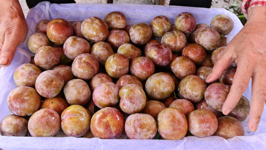 上新"过于密集"!这个6月来广西炫水果就对了