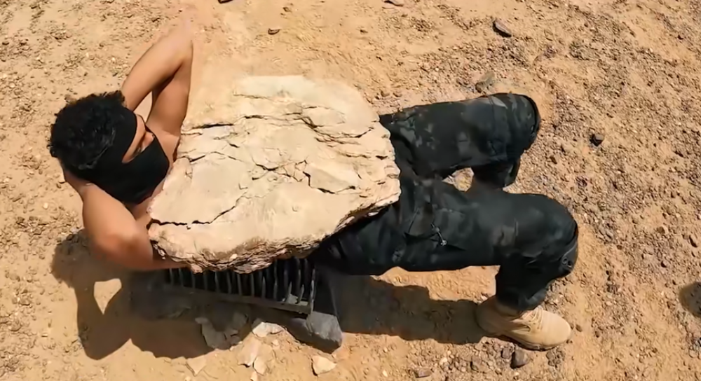 ͼƬ