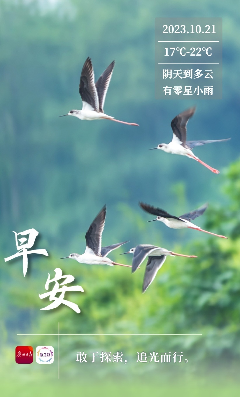 广州今天阴天到多云,有零星小雨,17～22℃当前设备不支持播放你可以