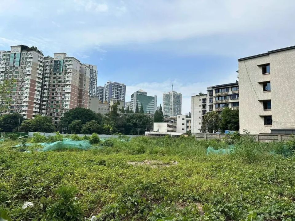 成都6月首场土拍：参拍房企首破百家，6宗土地熔断抽签_腾讯新闻