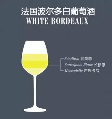 单一品种和混酿的葡萄酒,究竟哪种更好喝