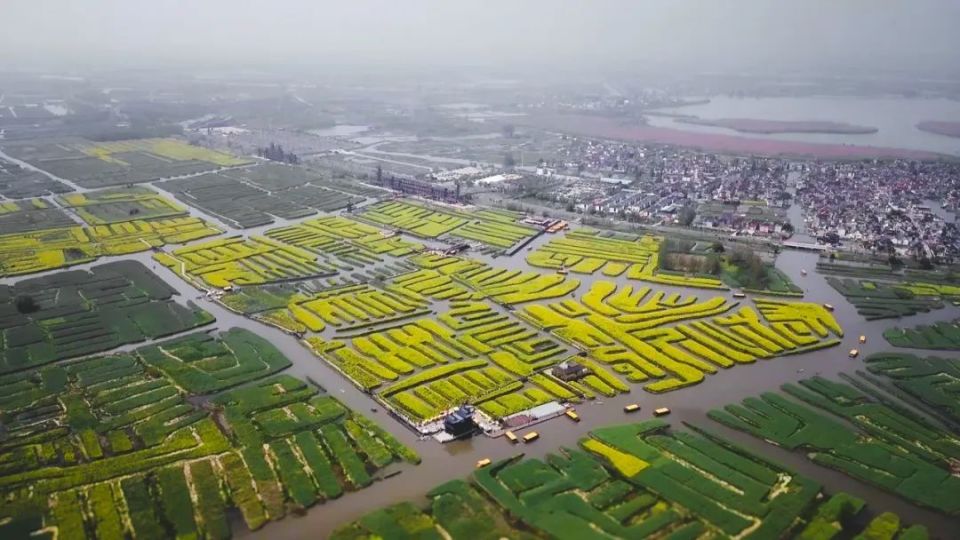 "垛田"十年,如何续写"农遗"新故事?