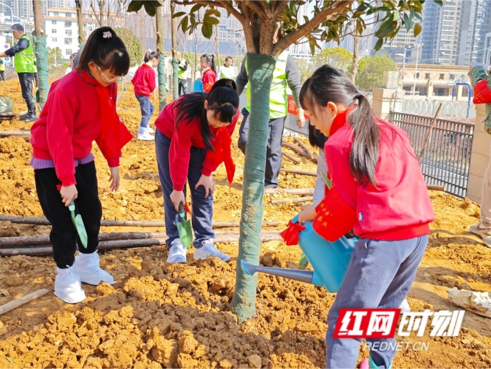 种下绿色播种希望
