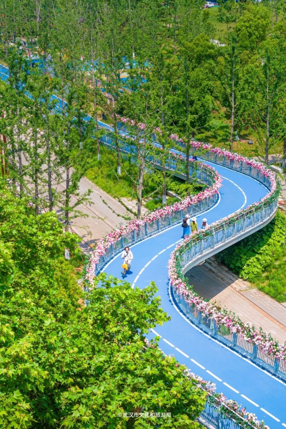 武汉首条空中骑行道,就在江边,风景绝了!