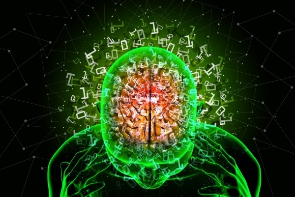 数字生命会到来吗智慧涌现会失控吗数字生命与意识上传系列研讨会头脑