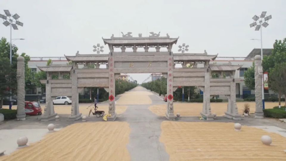 杜郎口镇:集中分配公共区域 保障小麦及时晾晒