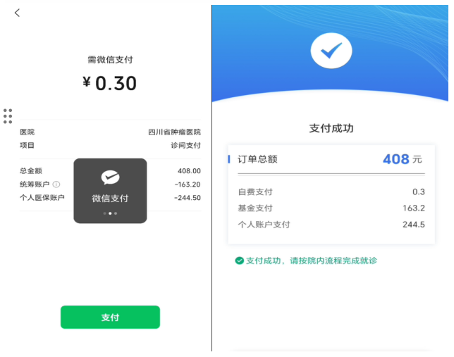 完成缴费后,界面显示【支付成功】.