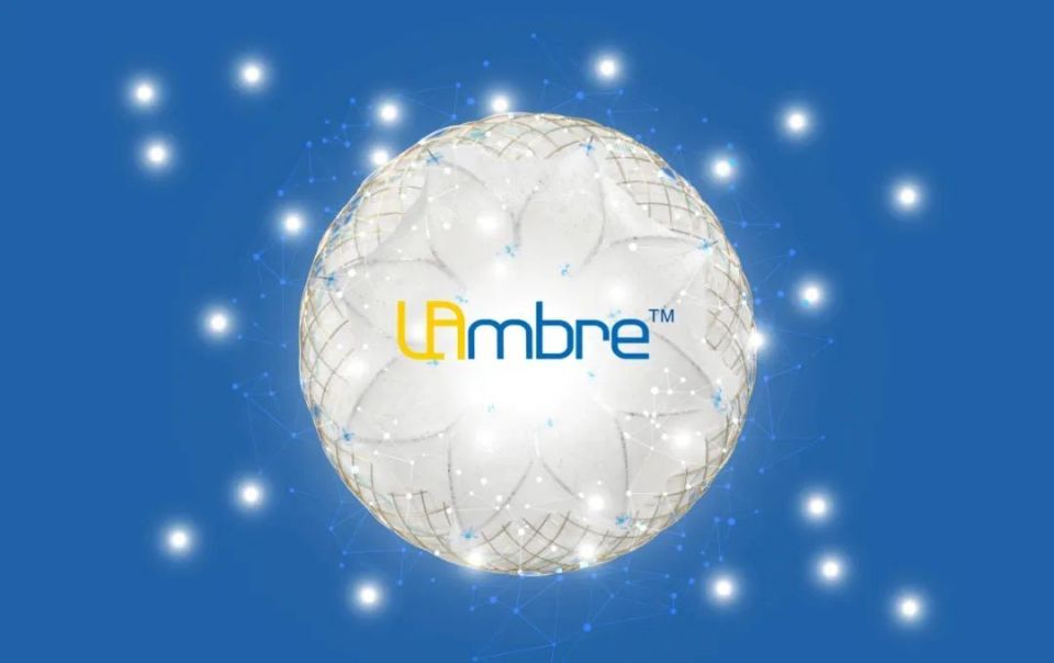 骨盆手术器械有哪些2023十大自主创新医疗器械产品_https://www.jmylbn.com_新闻资讯_第20张