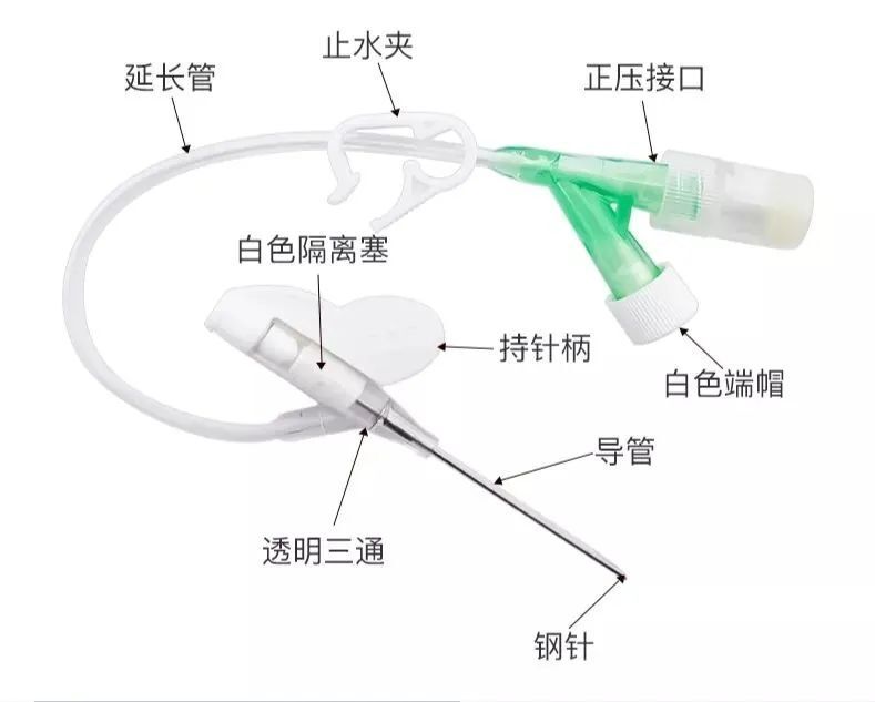掌握儿童留置针居家护理这些干货,宝宝安全,妈妈安心