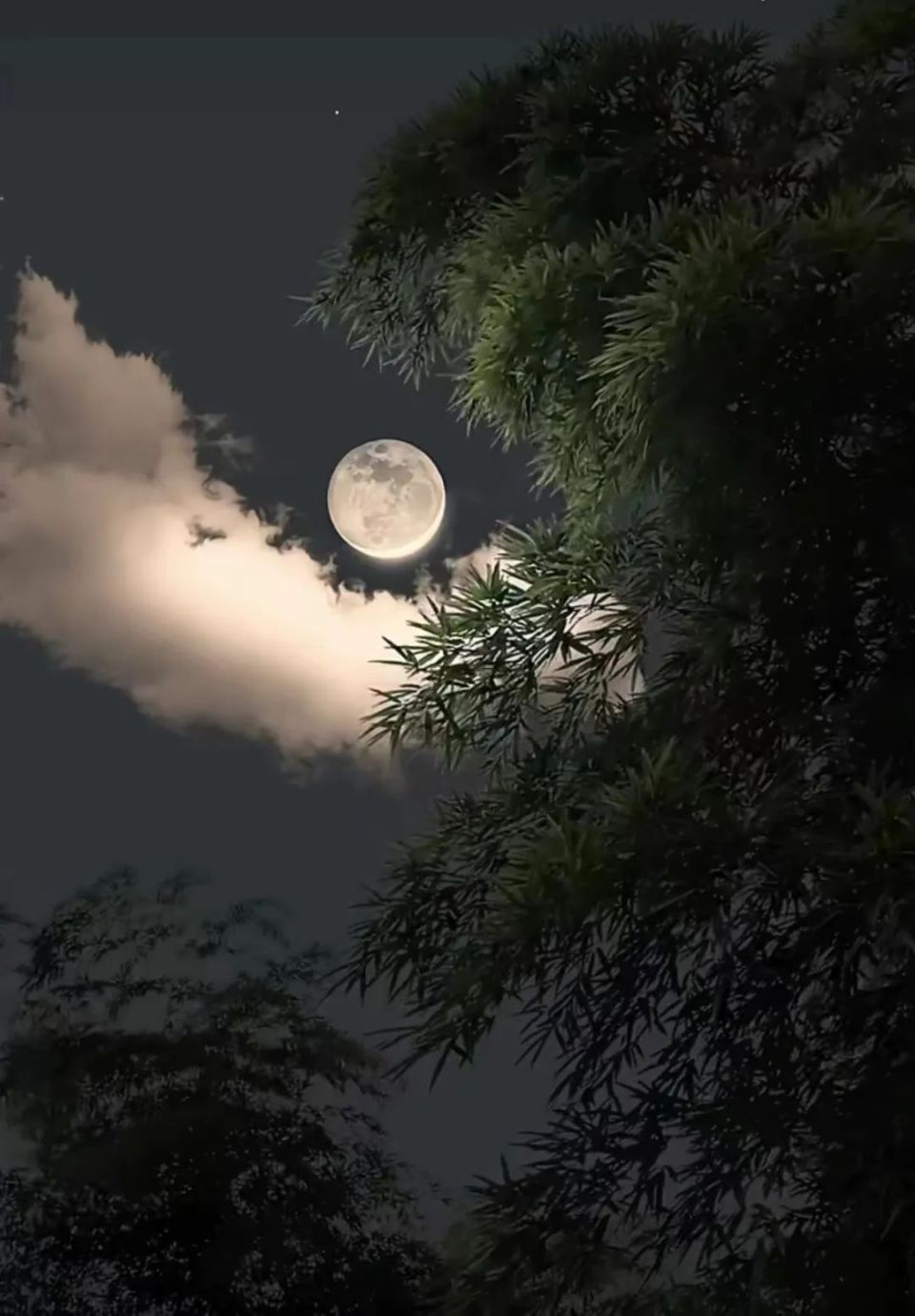 中秋夜,"超级月亮"点亮眉山人的朋友圈,共赏人间最美"婵娟"!