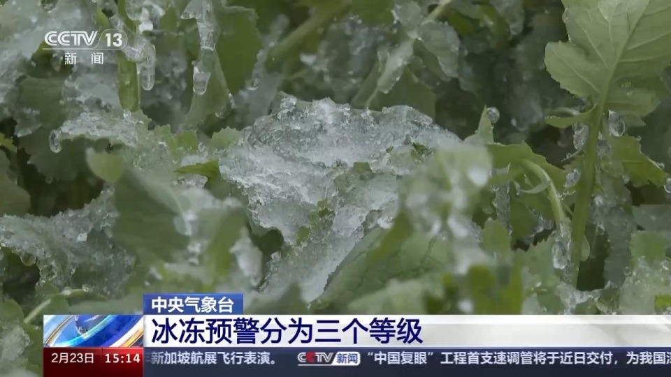 冰冻预警如何分级？有什么标准？专家解答_腾讯新闻