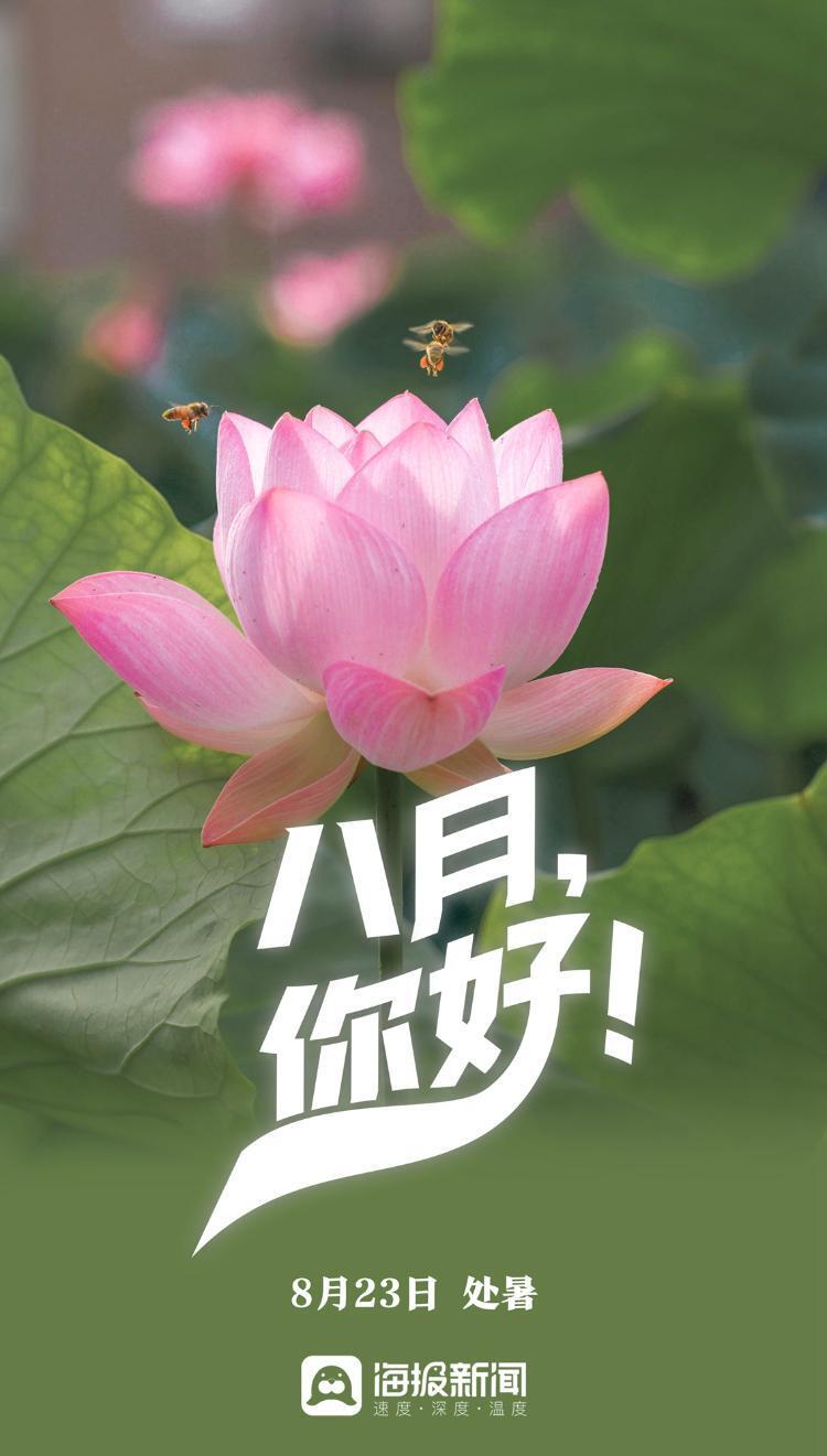 海报8月你好