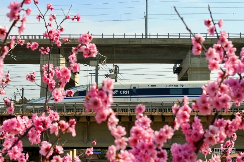 坐上高铁去春游国铁集团郑州局周末加开管内高铁19列