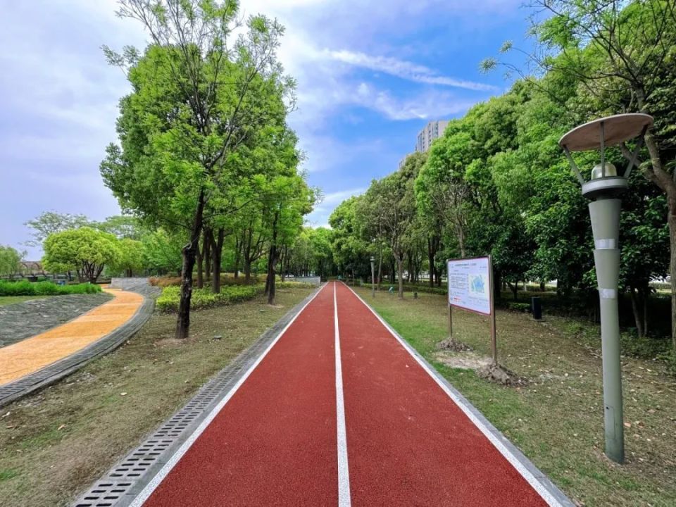嘉定这里新建一条市民"家门口"的健身步道