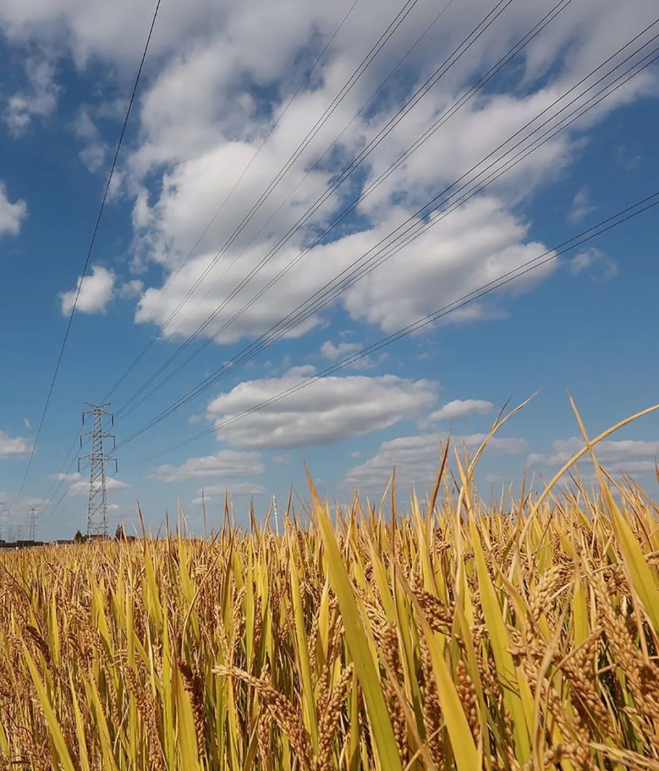 浦江的这些美图,你见过吗?