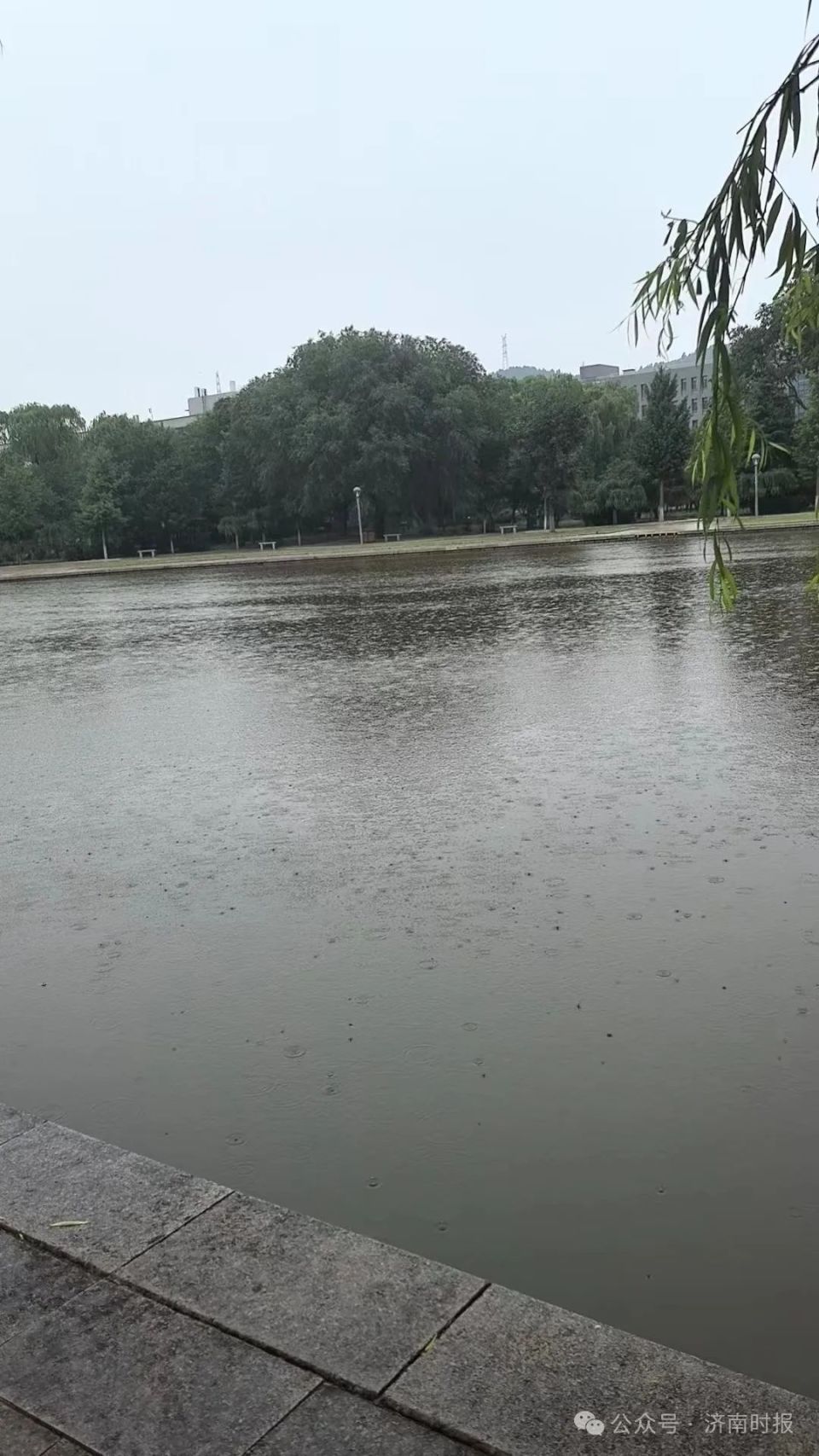 刚刚,济南这些地方下雨了!雷雨或阵雨 阵风7级,降雨时段最新公布