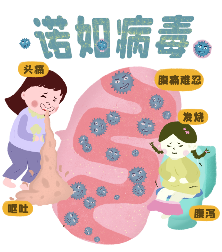 诺如病毒感染后约12至48小时出现症状,以轻症为主,最常见的症状是腹泻