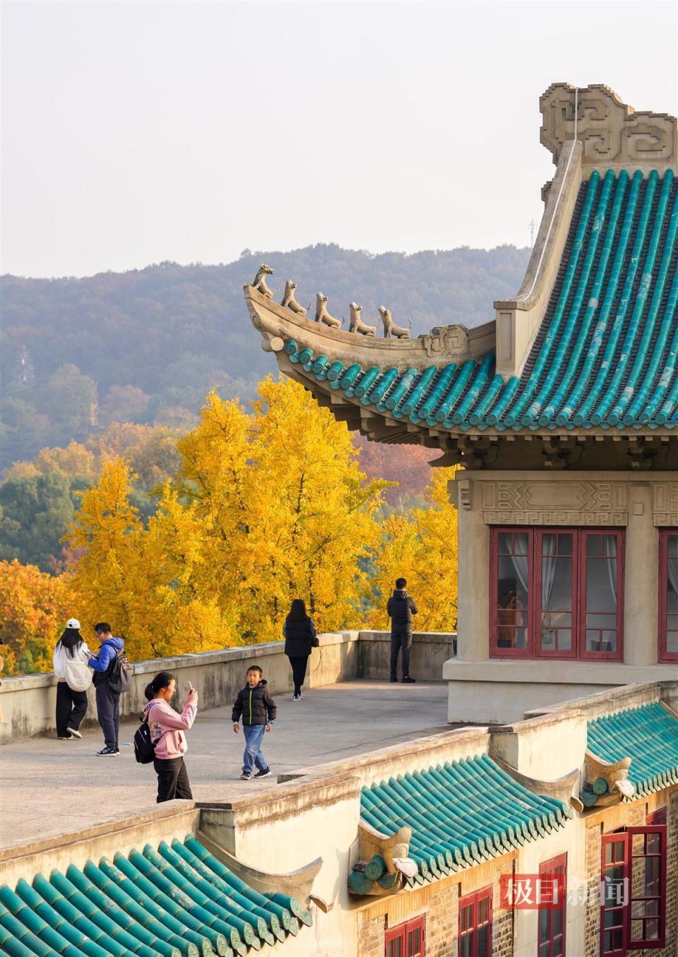 初冬的珞珈山,美得让人心醉_腾讯新闻